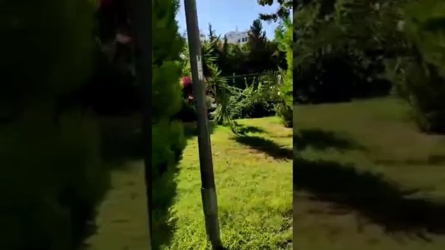 МАХМУТЛАР