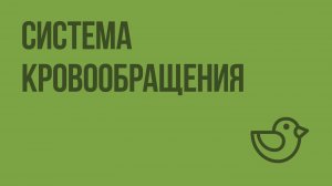 Система кровообращения. Видеоурок по окружающему миру 4 класс
