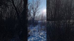 Первый зимний пленэр в этом году, долго ждали зиму