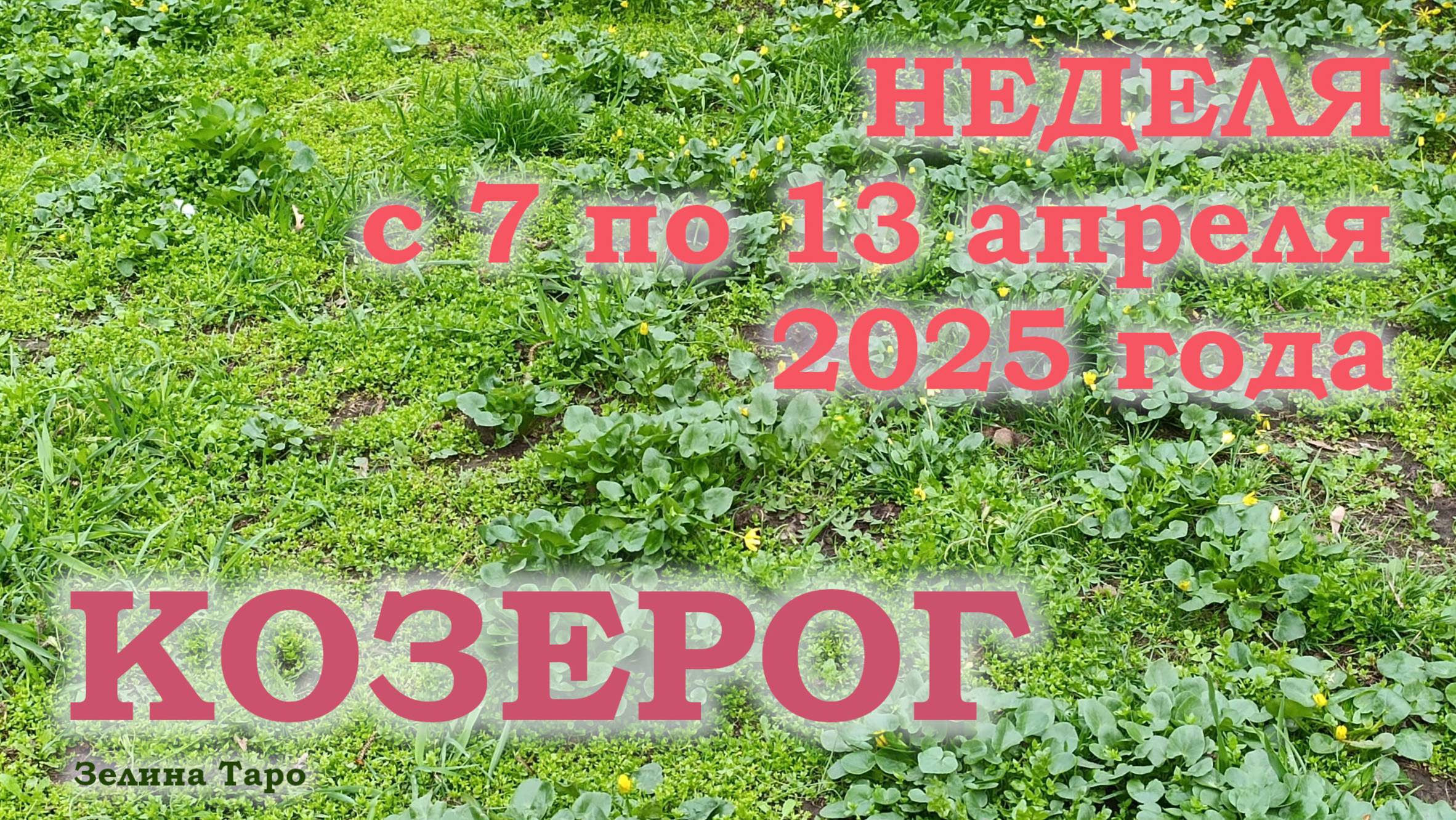 КОЗЕРОГ | ТАРО прогноз на неделю с 7 по 13 апреля 2025 года