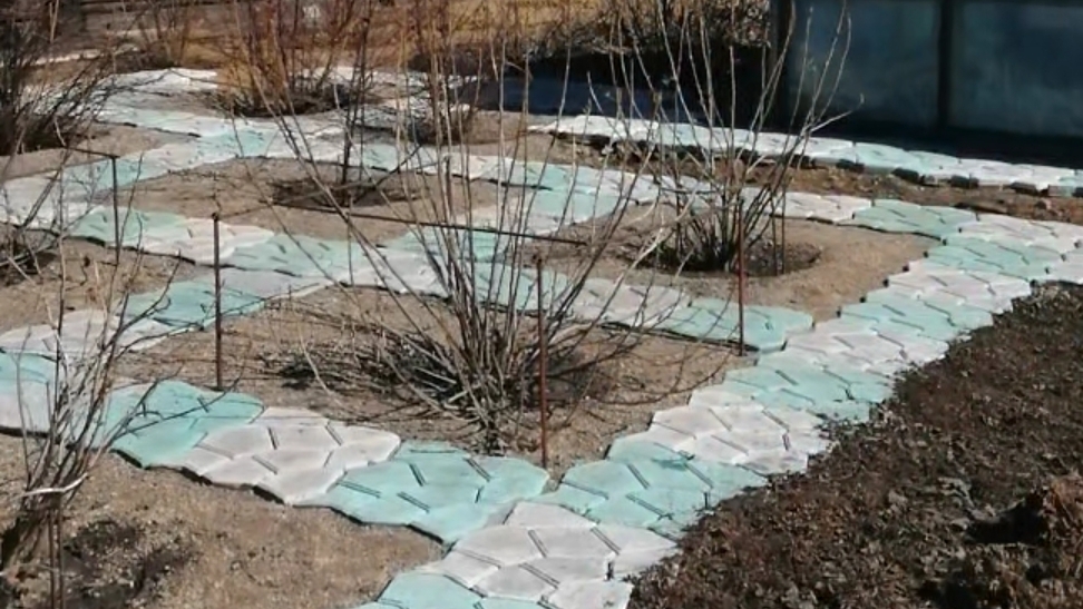 Обработка сада часть 2.