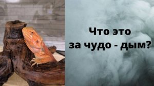 Волшебный пар