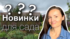 НОВЫЕ хвойные в сад ОБЗОР покупок ВЫБОР места посадки Дневник садовода