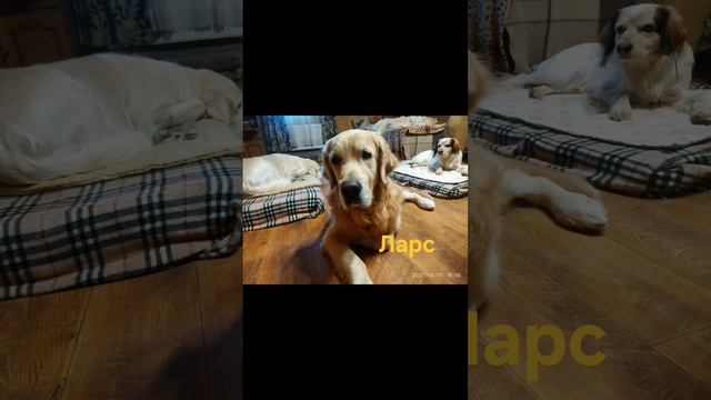 А время  ведь  нисколечко не лечит.
Несём мы  груз  печали чрез года...