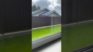 СНТ Заозерное 1