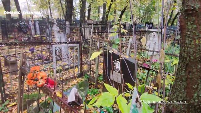 Заречное кладбище Шуя. Деревья падают на могилы...........