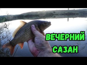 Карп на МАКУШАТНИК. Вечерняя рыбалка на донки