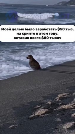 Моя крипто-стратегия на 2025