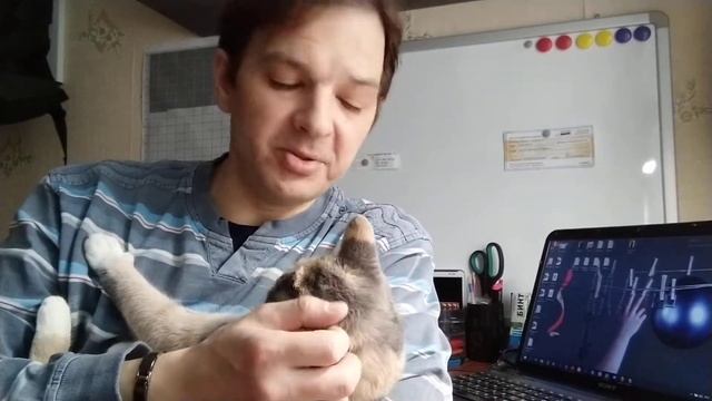 Cервис ветеринар онлайн