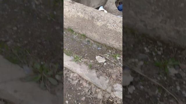 Пьяный 1 часть
