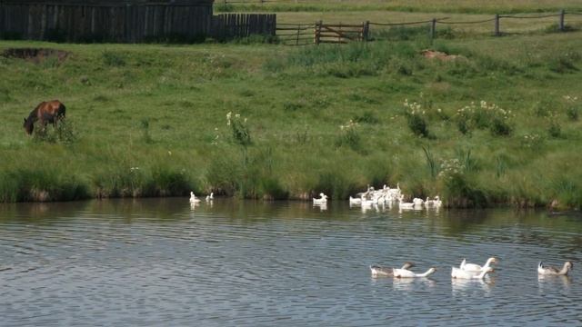 Мое слайд-шоу Красота деревенской жизни смотреть онлайн