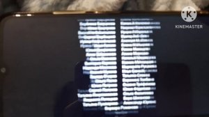 Карлик Нос Титры (2003)