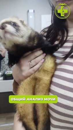 топ-5 анализов