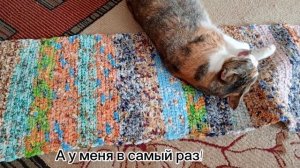 Мои помощницы, или из жизни лохматого семейства!