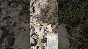 А приходи ко мне морячка.