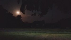 ВСЁ В ТУМАНЕ, КАК НАША ЖИЗНЬ