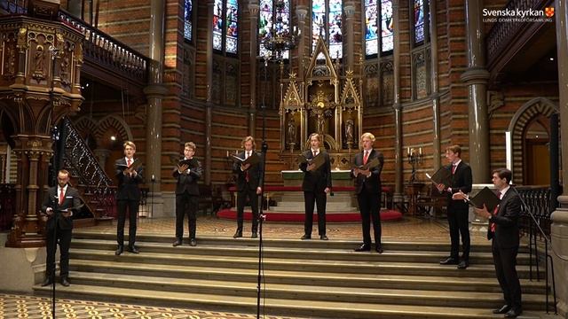 Paradisets timma - David Wikander смотреть онлайн