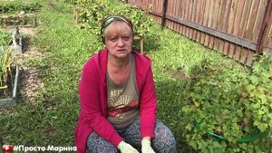 Зола. Подкормка. Как применять.