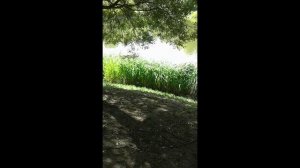 Ты гитара моя семиструнная авторская песня стихи мелодия исп видео Татьяна 
Талызина