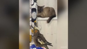 А вы? Не были на Таити?