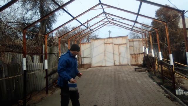 Фелинология.кликер тренинг