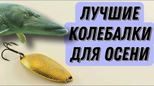 ОНИ СТОЯТ СВОИХ ДЕНЕГ! Осеннее колебло на щуку