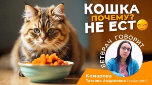 Почему кошка не ест?