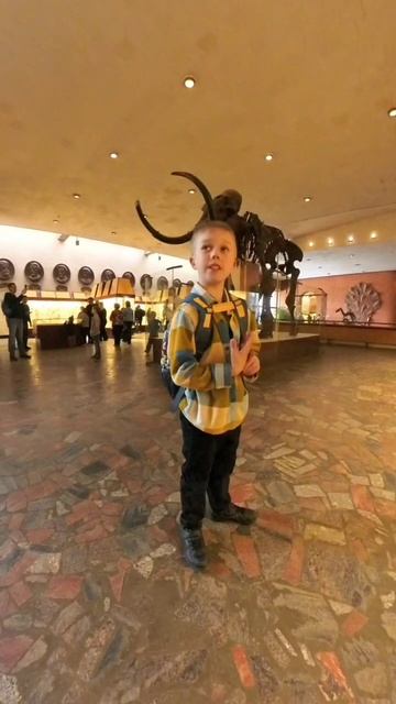 в палеонтологическом музее смотреть онлайн