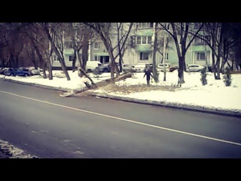 #авария Я в шоке! Могли спровоцировать аварию! #москва #реальнаяжизнь #дерево