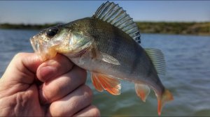 Ловля ОКУНЯ на ДЖИГ. Рыбалка на спиннинг
