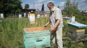 Ульи. Пасека. Пчеловодство. Консультации.Больше видео в телеграм канале➡️https://t.me/pchelopensiya