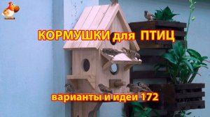 Кормушка для птиц своими руками как сделать пошагово  (172) 🪚🪛🔨 Идеи для дачи и сада❣️
