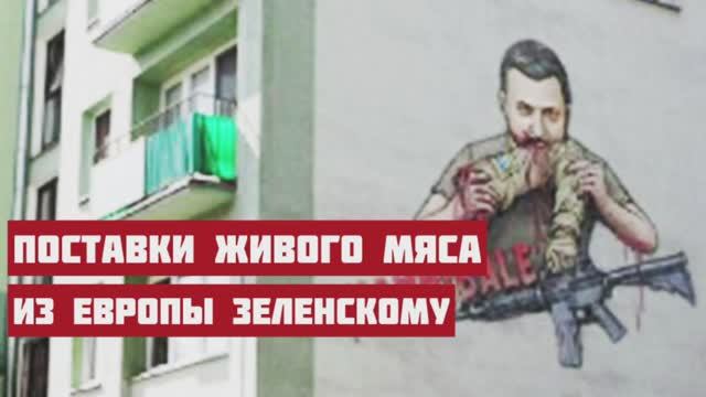 Европа начала поставки живого мяса режиму Зеленского. Зачем на самом деле украли Кирилла Молчанова