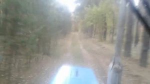 Будни Тракториста | Поездка за дровами на тракторе МТЗ 82