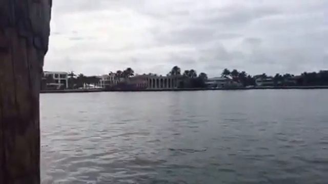 VACATION VLOG #2 |FLORIDA 2017 ❤| смотреть онлайн