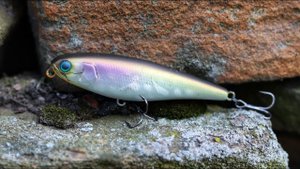 Секретный уолкер на щуку. Jackall Water Moccasin