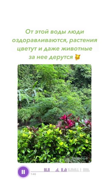 ПОСЛЕ ЭТОЙ ВОДЫ ЛЮДИ ОЗДОРАВЛИВАЮТСЯ,  РАСТЕНИЯ ЦВЕТУТ