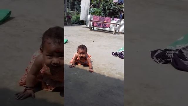 Siddhartha Deka House video смотреть онлайн