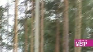 «Серебряный Бор»: итоги строительства первой очереди