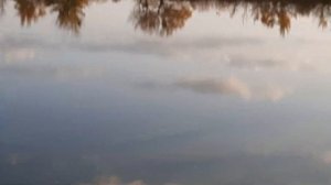 ЛИНЁВКА * МЫСЛИ у озера