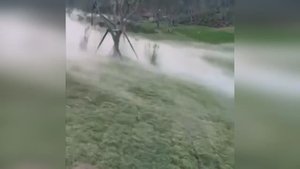 Создание тумана для увлажнения воздуха и в декоративных целях.