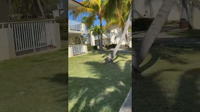 Blog por varadero/ hotel Barceló Solymar y occidental Arenas Blancas смотреть онлайн