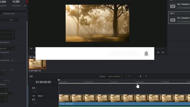 How To Export As MP4 In Davinci Resolve (EASY!) смотреть онлайн