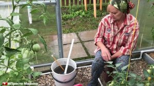 Дрожжевая подкормка для...