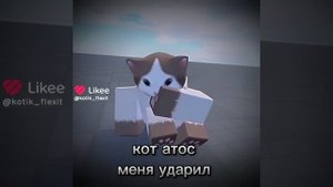 игрок убил кота игрока