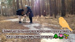 Замечательная воскресная прогулка по юго-западному лесопарку