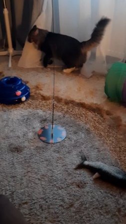 20231101_164811.mp4