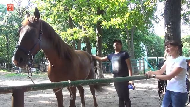 Идеи для отдыха всей семьей смотреть онлайн