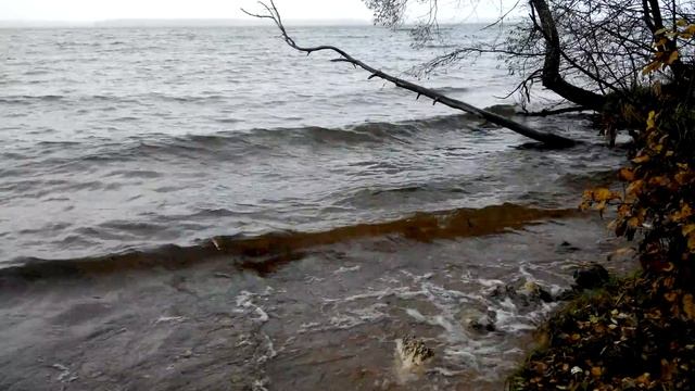 Учинское водохранилище смотреть онлайн