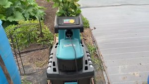 Розы. Хотела как лучше- получилось как всегда!!! Уход за розами после первого цветения.